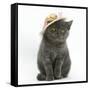 Grey Kitten Wearing a Straw Hat-Mark Taylor-Framed Stretched Canvas