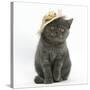 Grey Kitten Wearing a Straw Hat-Mark Taylor-Stretched Canvas