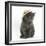 Grey Kitten Wearing a Straw Hat-Mark Taylor-Framed Photographic Print