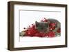 Grey Kitten with Christmas Decorations, Tinsel and Holly Berries-Mark Taylor-Framed Photographic Print