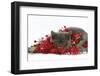 Grey Kitten with Christmas Decorations, Tinsel and Holly Berries-Mark Taylor-Framed Photographic Print