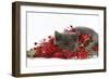 Grey Kitten with Christmas Decorations, Tinsel and Holly Berries-Mark Taylor-Framed Photographic Print