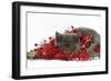 Grey Kitten with Christmas Decorations, Tinsel and Holly Berries-Mark Taylor-Framed Photographic Print