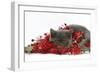 Grey Kitten with Christmas Decorations, Tinsel and Holly Berries-Mark Taylor-Framed Photographic Print