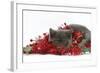 Grey Kitten with Christmas Decorations, Tinsel and Holly Berries-Mark Taylor-Framed Photographic Print