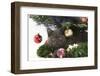 Grey Kitten with Christmas Decorations under a Christmas Tree-Mark Taylor-Framed Photographic Print