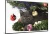 Grey Kitten with Christmas Decorations under a Christmas Tree-Mark Taylor-Mounted Photographic Print