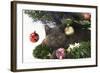 Grey Kitten with Christmas Decorations under a Christmas Tree-Mark Taylor-Framed Photographic Print