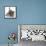 Grey Kitten with Grey Windmill-Eared Rabbit-Mark Taylor-Framed Stretched Canvas displayed on a wall