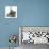 Grey Kitten with Grey Windmill-Eared Rabbit-Mark Taylor-Stretched Canvas displayed on a wall