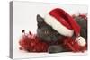 Grey Kitten with Red Tinsel and Wearing a Father Christmas Hat-Mark Taylor-Stretched Canvas