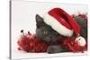 Grey Kitten with Red Tinsel and Wearing a Father Christmas Hat-Mark Taylor-Stretched Canvas