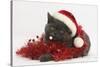Grey Kitten with Red Tinsel and Wearing a Father Christmas Hat-Mark Taylor-Stretched Canvas