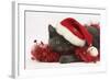 Grey Kitten with Red Tinsel and Wearing a Father Christmas Hat-Mark Taylor-Framed Photographic Print