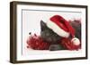 Grey Kitten with Red Tinsel and Wearing a Father Christmas Hat-Mark Taylor-Framed Photographic Print