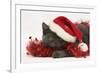 Grey Kitten with Red Tinsel and Wearing a Father Christmas Hat-Mark Taylor-Framed Photographic Print