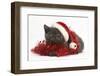 Grey Kitten with Red Tinsel and Wearing a Father Christmas Hat-Mark Taylor-Framed Photographic Print