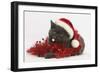 Grey Kitten with Red Tinsel and Wearing a Father Christmas Hat-Mark Taylor-Framed Photographic Print