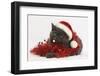 Grey Kitten with Red Tinsel and Wearing a Father Christmas Hat-Mark Taylor-Framed Photographic Print