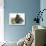 Grey Kitten with Sandy Lionhead-Cross Rabbit and Agouti Lop Rabbit-Mark Taylor-Photographic Print displayed on a wall