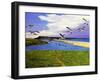 Grey Lag Geese Landing on the Fleet, 2008-Liz Wright-Framed Giclee Print