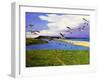 Grey Lag Geese Landing on the Fleet, 2008-Liz Wright-Framed Giclee Print