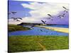 Grey Lag Geese Landing on the Fleet, 2008-Liz Wright-Stretched Canvas