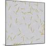 Grey Linen Golden Matchstick Confetti-Tina Lavoie-Mounted Giclee Print