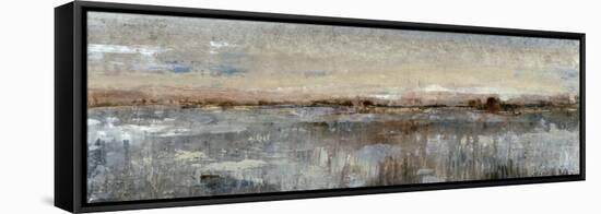 Grey Mist I-Tim OToole-Framed Stretched Canvas