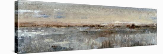 Grey Mist I-Tim OToole-Stretched Canvas