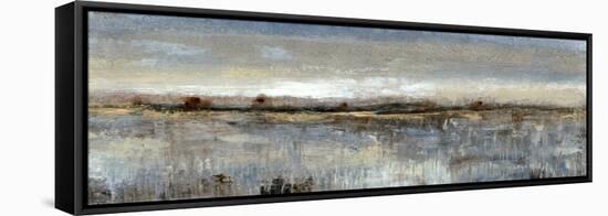 Grey Mist II-Tim OToole-Framed Stretched Canvas