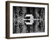 Grey Owl's Cabin, Saskatchewan, 1934-null-Framed Photographic Print