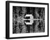 Grey Owl's Cabin, Saskatchewan, 1934-null-Framed Photographic Print