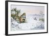 Grey Partridge-Carl Donner-Framed Giclee Print