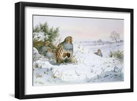 Grey Partridge-Carl Donner-Framed Giclee Print