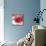 Grey-Red Fish-Irena Orlov-Mounted Art Print displayed on a wall