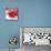 Grey-Red Fish-Irena Orlov-Mounted Art Print displayed on a wall