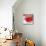 Grey-Red Fish-Irena Orlov-Mounted Art Print displayed on a wall