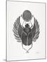 Grey Scarab-Cat Coquillette-Mounted Art Print