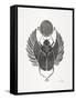 Grey Scarab-Cat Coquillette-Framed Stretched Canvas