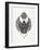 Grey Scarab-Cat Coquillette-Framed Art Print