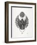 Grey Scarab-Cat Coquillette-Framed Art Print