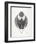 Grey Scarab-Cat Coquillette-Framed Art Print