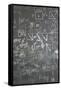 Grey School Chalkboard with Many Different Formuls, Signs and Counts Vertical-Paha_L-Framed Stretched Canvas