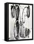 Grey Scribbles II-Jodi Fuchs-Framed Stretched Canvas