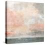 Grey Sea-Suzanne Nicoll-Stretched Canvas