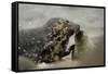 Grey Seal female with pup, female is nosing pup to reaffirm parent pup bond, Mull of Kintyre-Philip Price-Framed Stretched Canvas