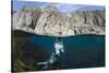 Grey Seal (Halichoerus Grypus) Surfacing Beneath Cliffs, Lundy Island, Devon, UK, June-Alex Mustard-Stretched Canvas