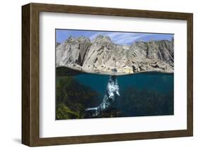 Grey Seal (Halichoerus Grypus) Surfacing Beneath Cliffs, Lundy Island, Devon, UK, June-Alex Mustard-Framed Photographic Print