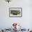 Grey Seal Herd Resting on Sand-Bank-null-Framed Photographic Print displayed on a wall